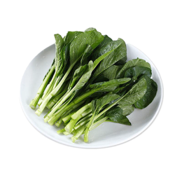 有機菜心苗