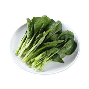 有機菜心苗