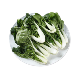 有機奶白菜仔