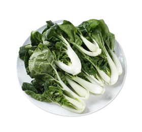 有機奶白菜仔