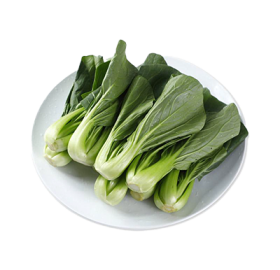 有機上海青苗